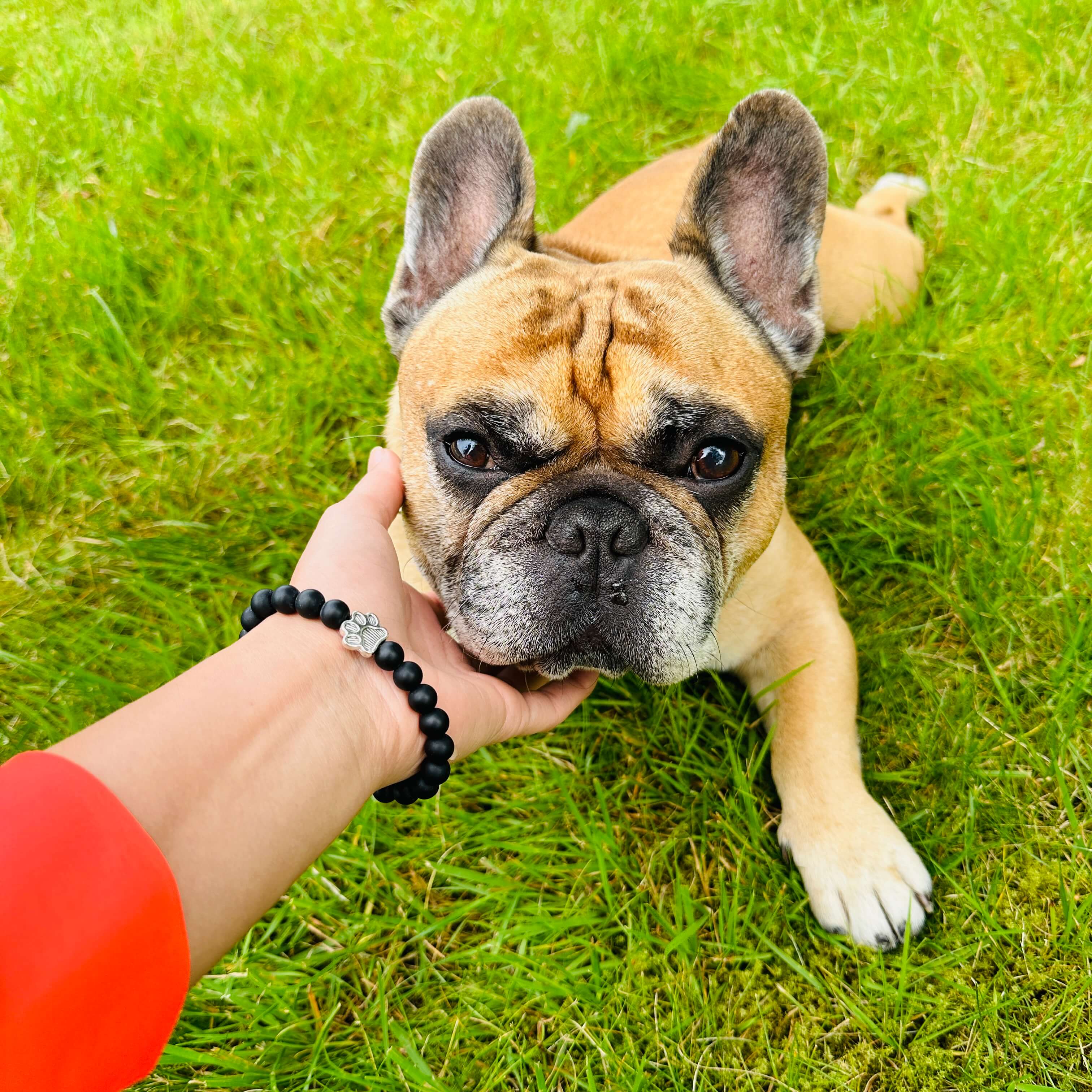 PawPrint - Promise Bracelet (1 Bracelet = 5 Meals)