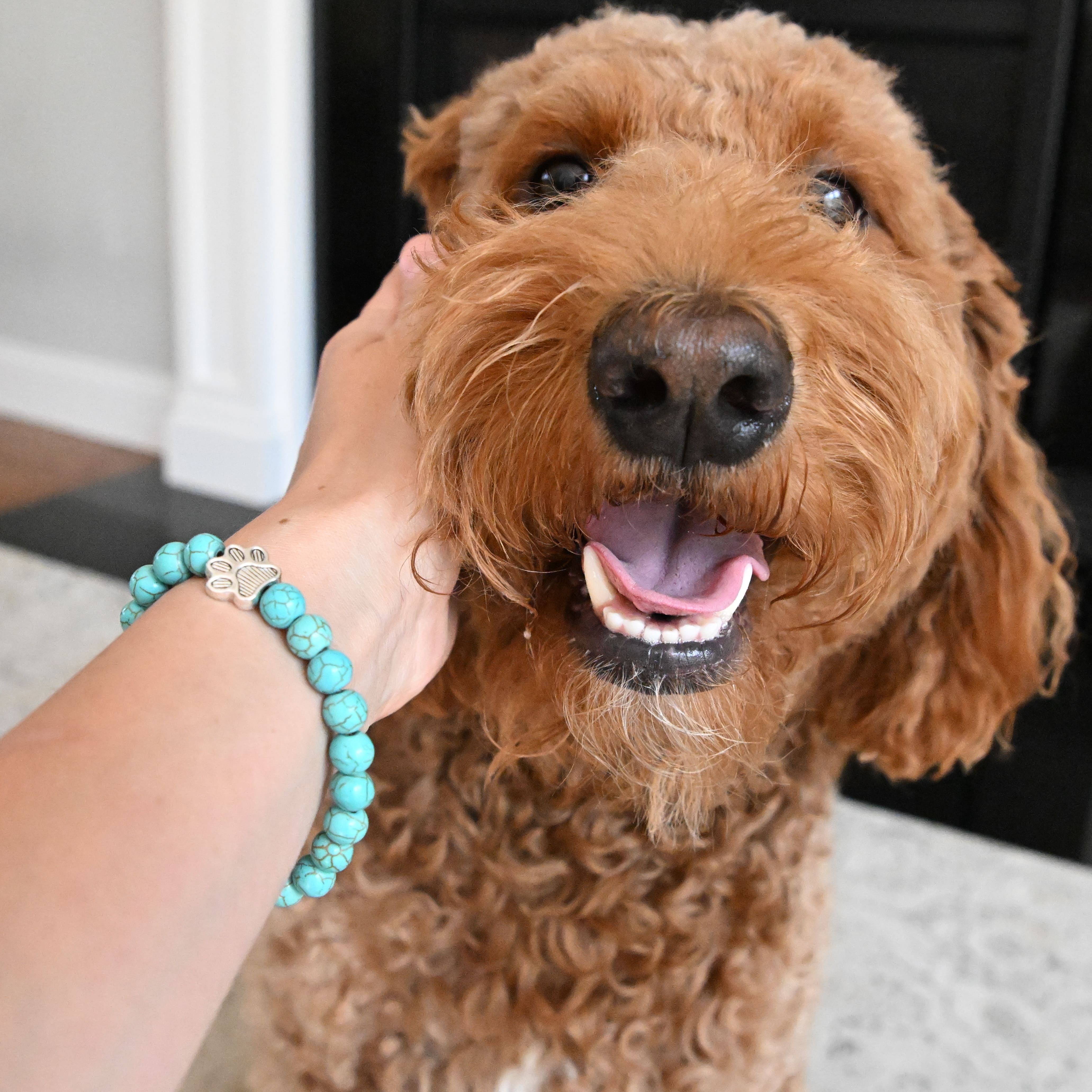 PawPrint - Promise Bracelet (1 Bracelet = 5 Meals)