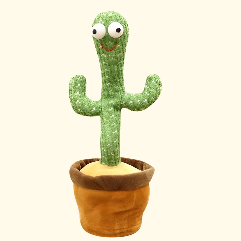 Dancing Cactus (65% OFF!)