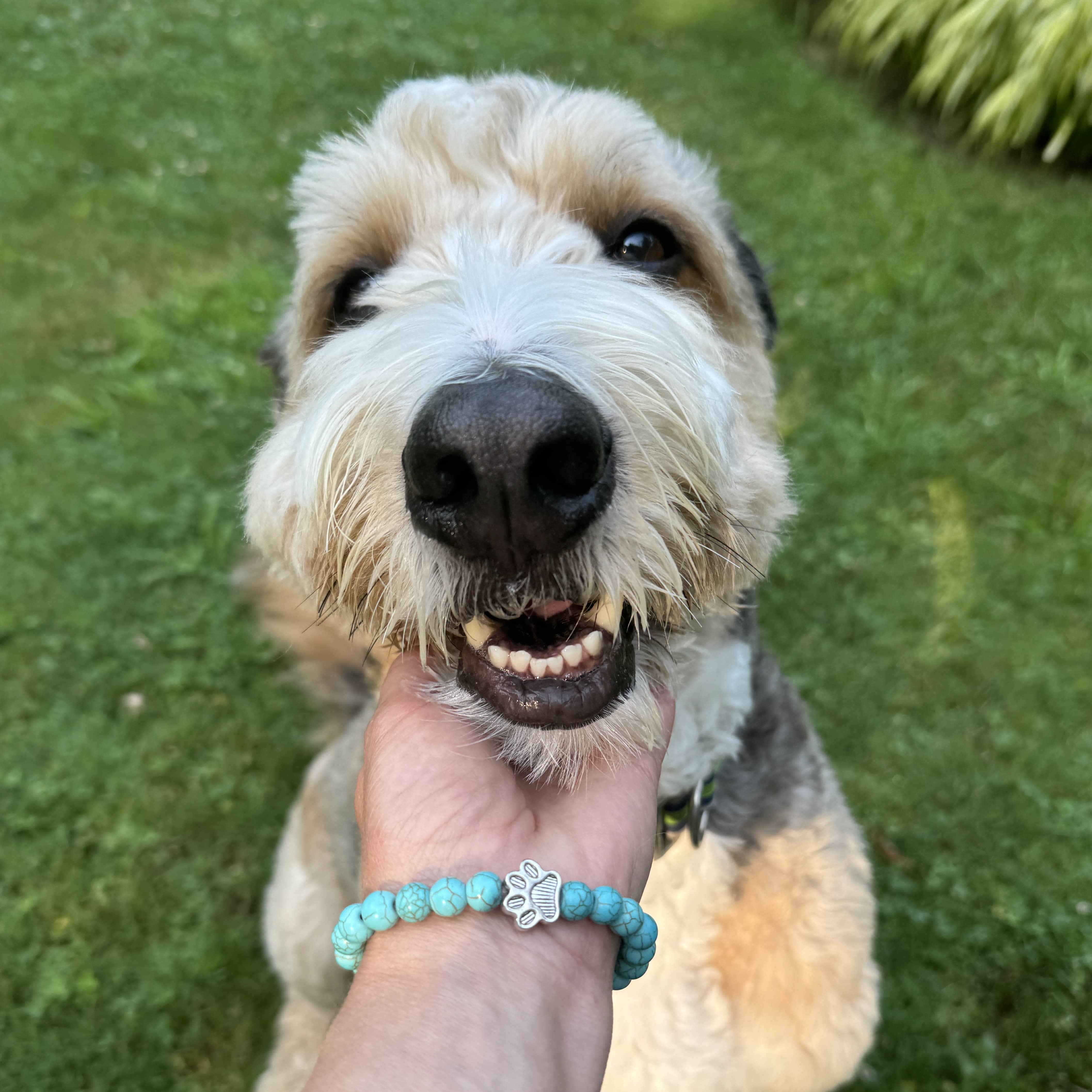 PawPrint - Promise Bracelet (1 Bracelet = 5 Meals)